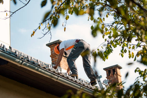 Best Sealant for Roof  in Renton, WA