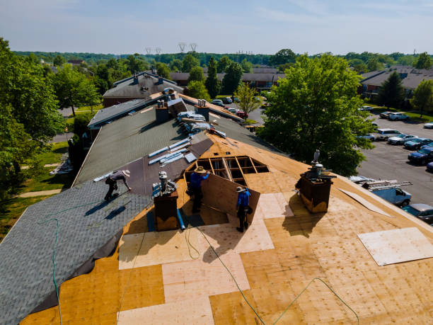 Roof Gutter Cleaning in Renton, WA