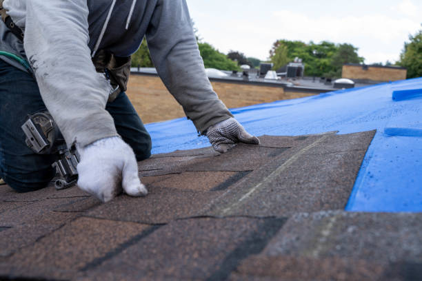 Professional Roofing Contractor in Renton, WA